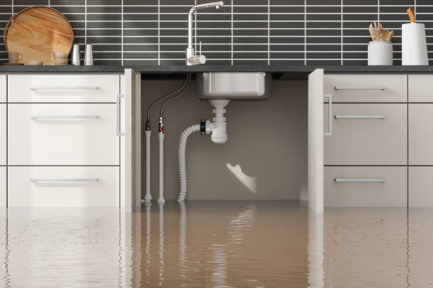 Best Ceiling water damage repair  in Carlisle, OH