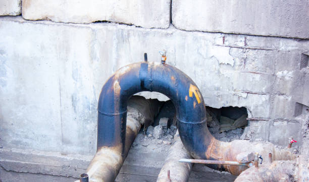 Best Professional water damage repair  in Carlisle, OH