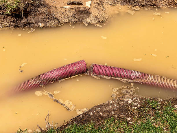 Best Basement water damage restoration  in Carlisle, OH