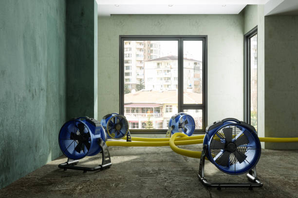 Best 24-hour water damage restoration  in Carlisle, OH